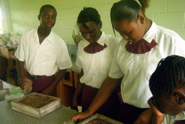 Students-sowing-seed-to-produce-seedlings-for-the-trials-1024x768